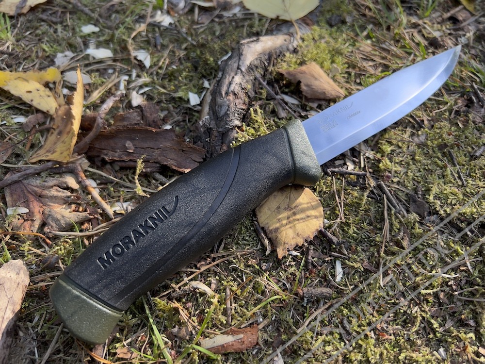 Mora companion